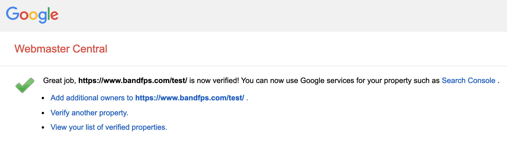 google site verification success